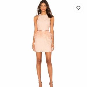 Endless rose unique feather lace dress